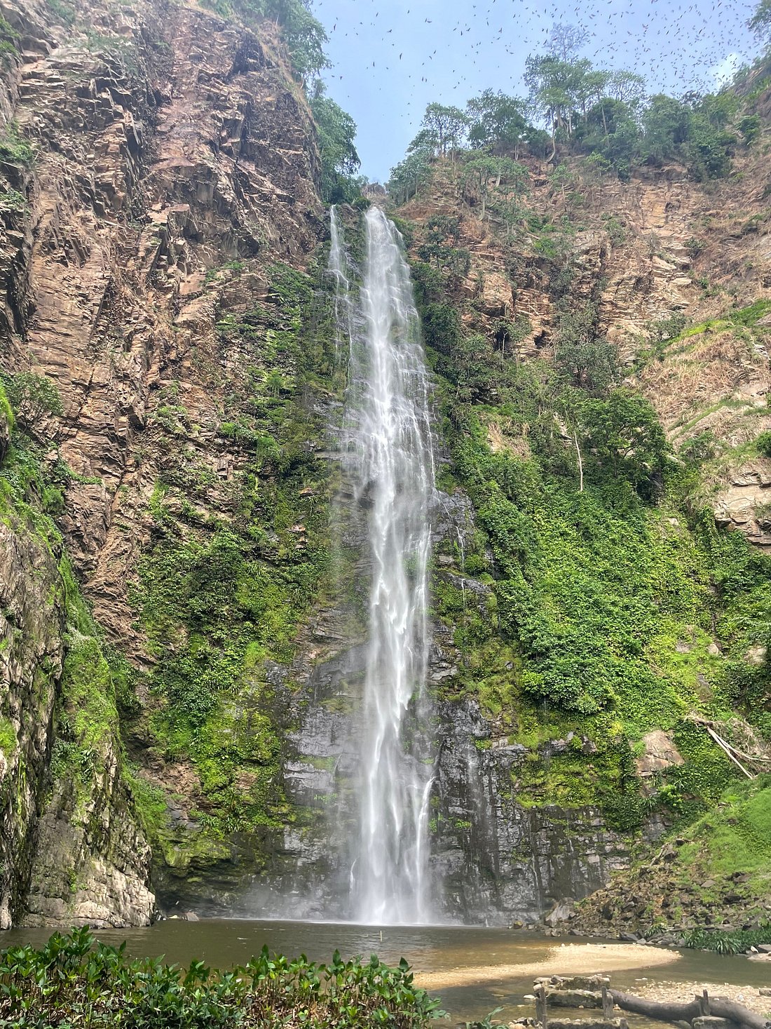 Summit & Splash: Afadjato & Wli Adventure