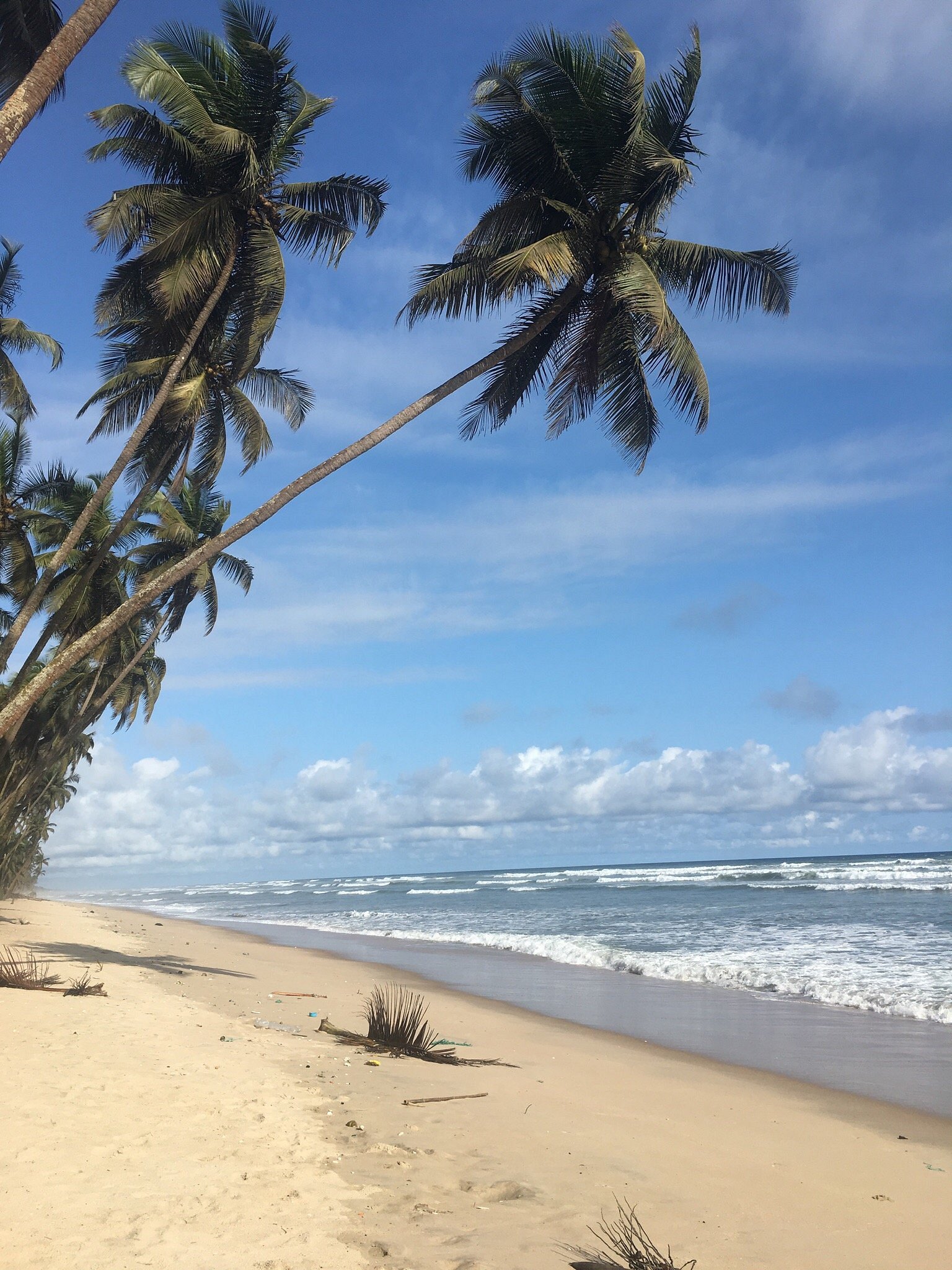 Roots & Rhythm Travels: Accra to Nzulezu Coastal Escape