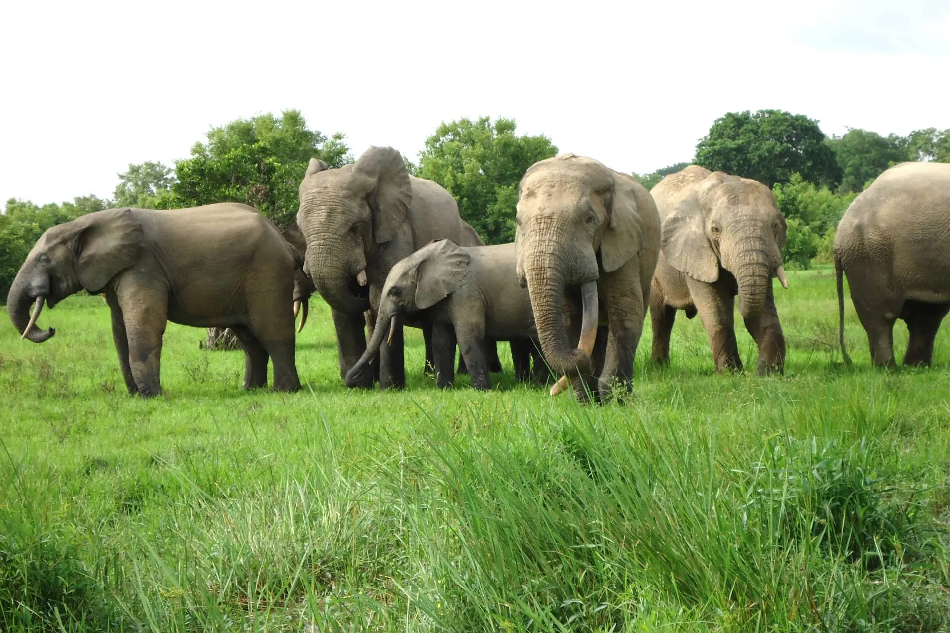 Nature and Wildlife Adventure